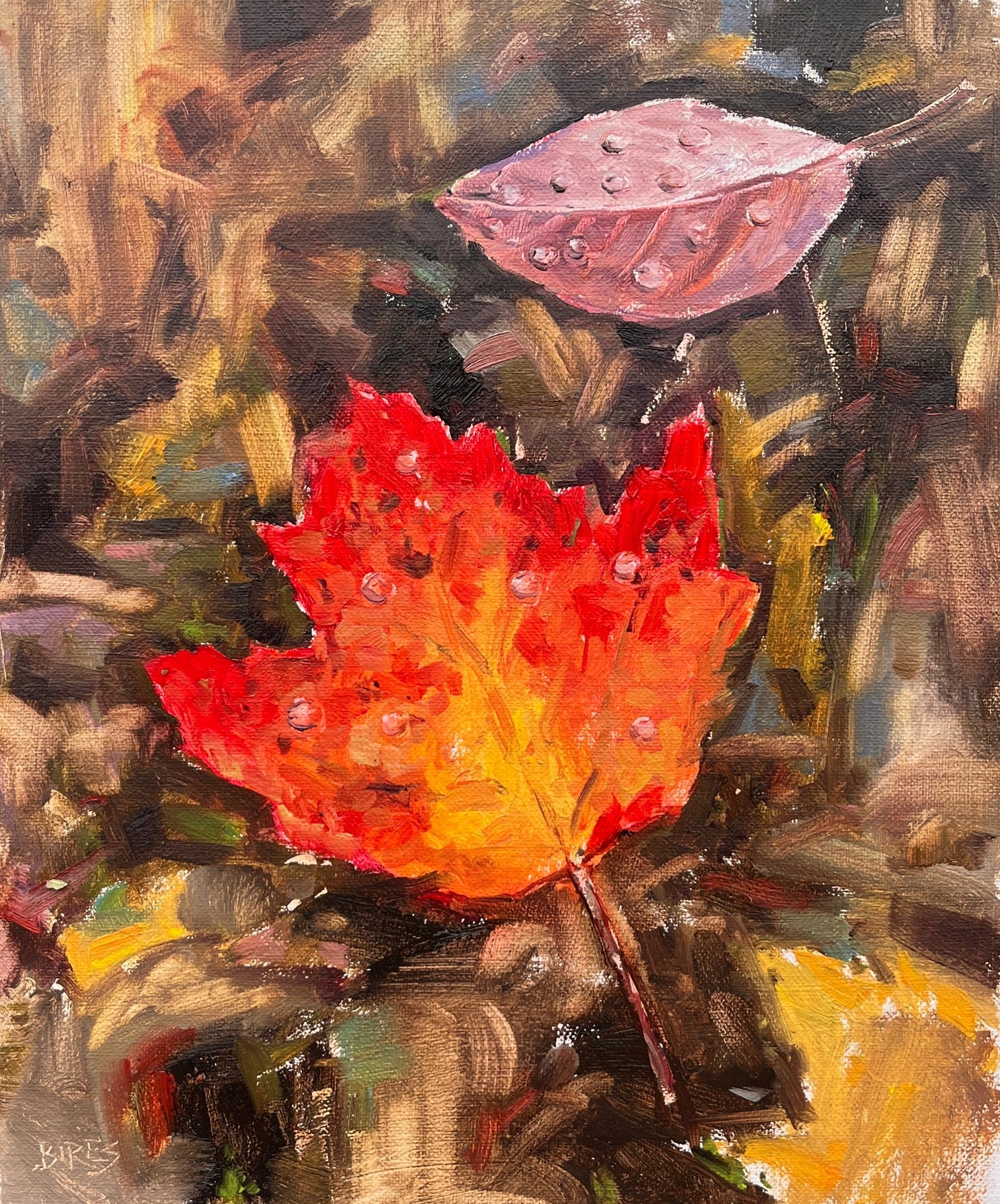 More Than the Weekend