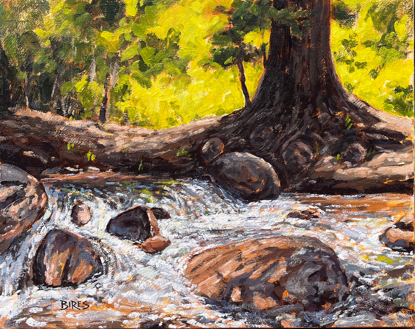 Yes, the River Knows