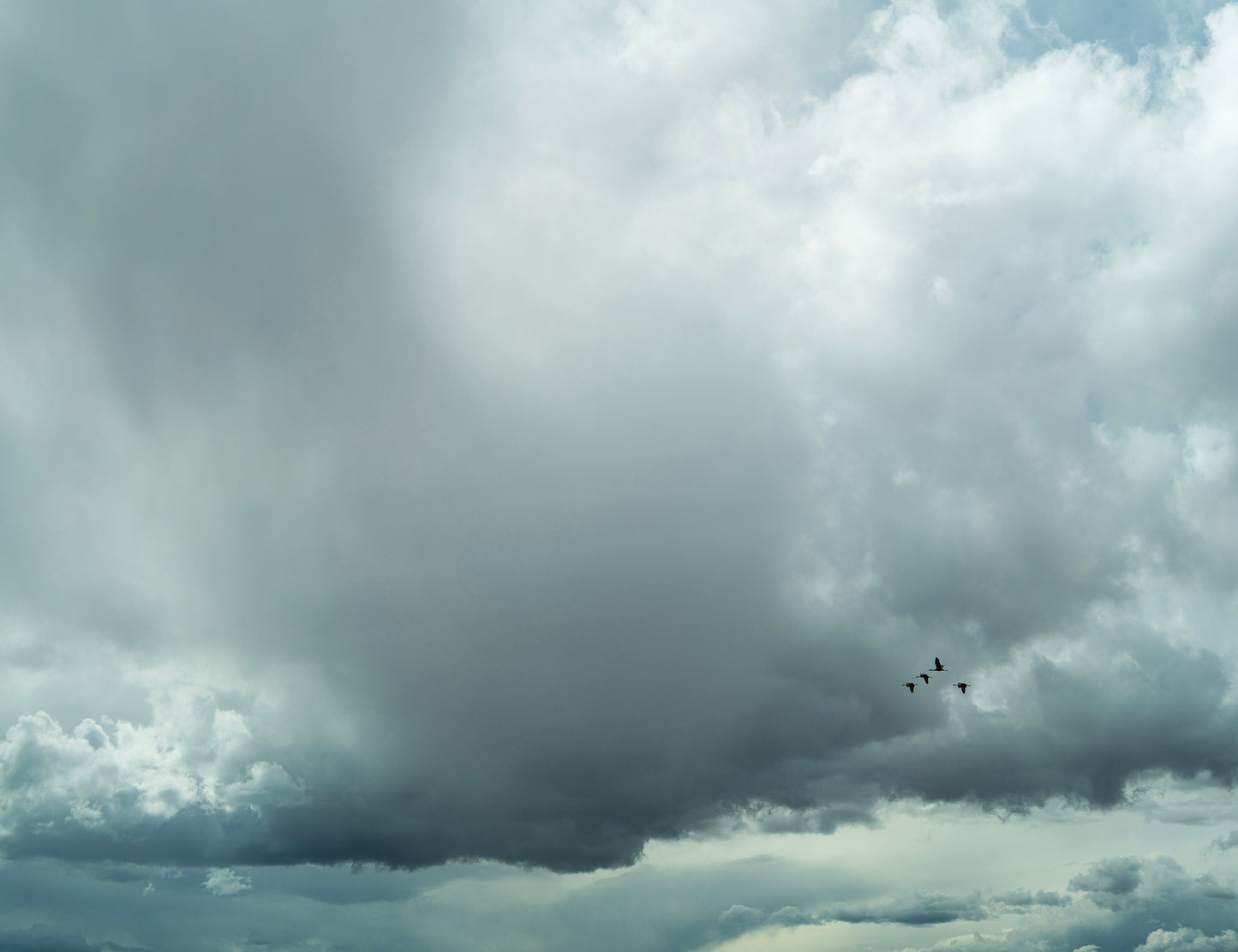 Crane Clouds