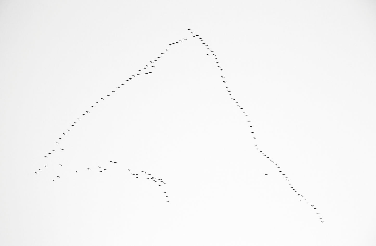 Flying I