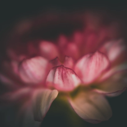 The Yearning II