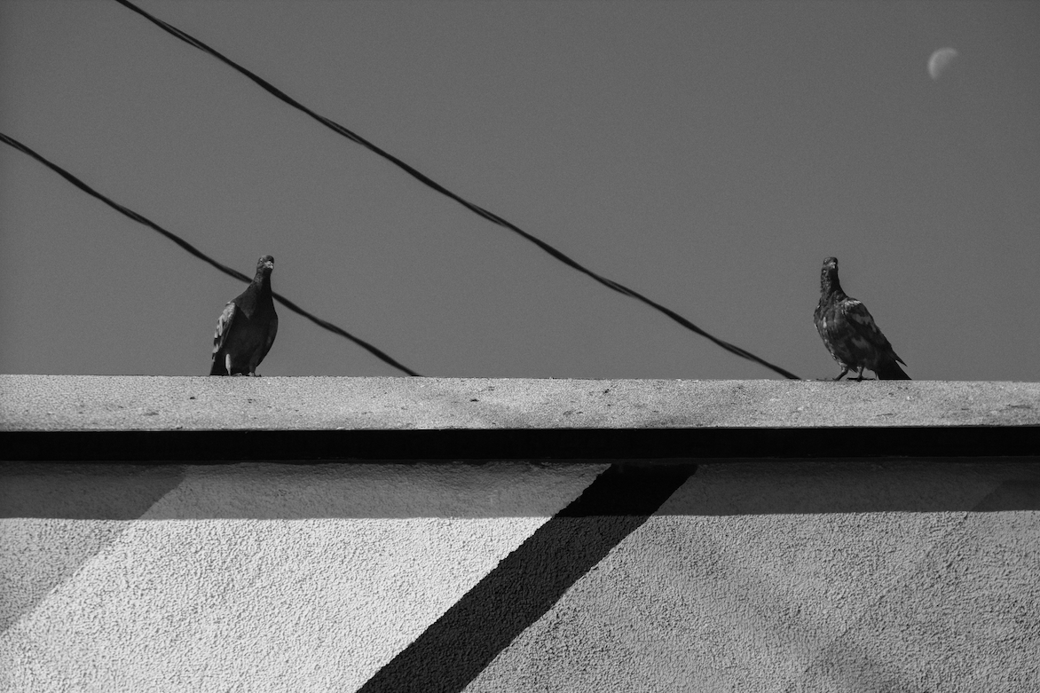 The Standoff