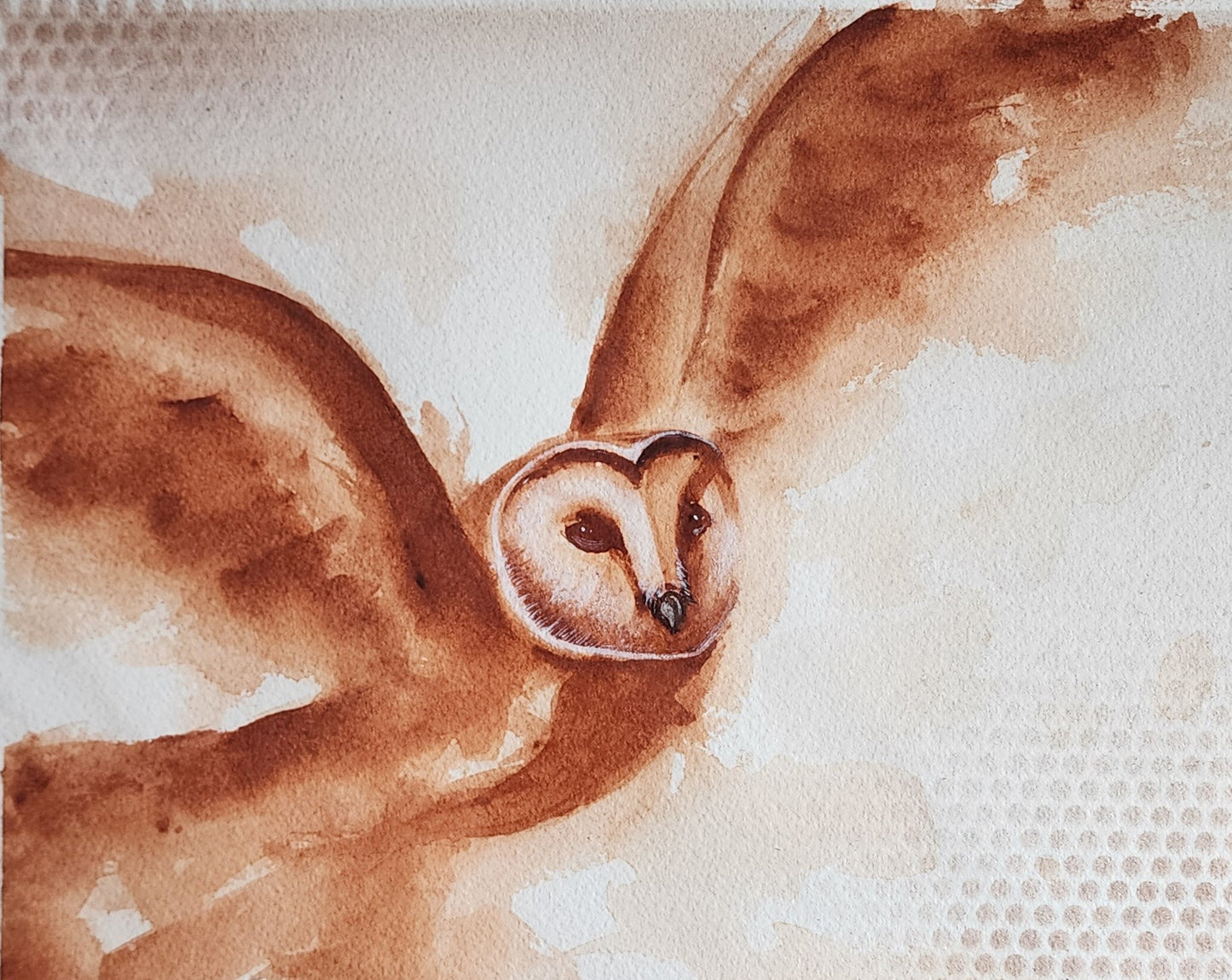 Soar