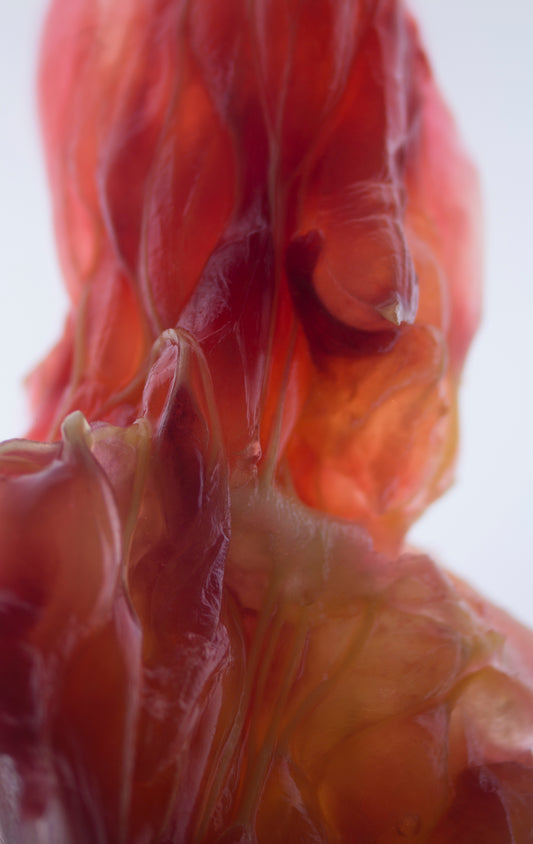 Life Textures/Blood Orange 0.1