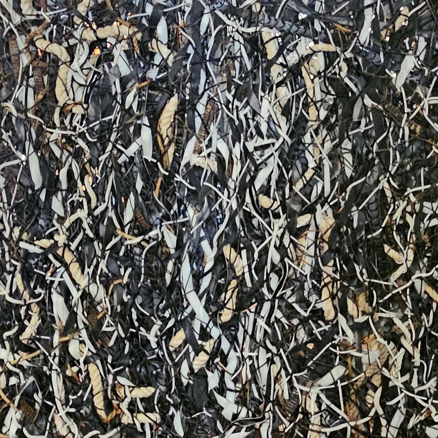 Front Row at the Rock Show