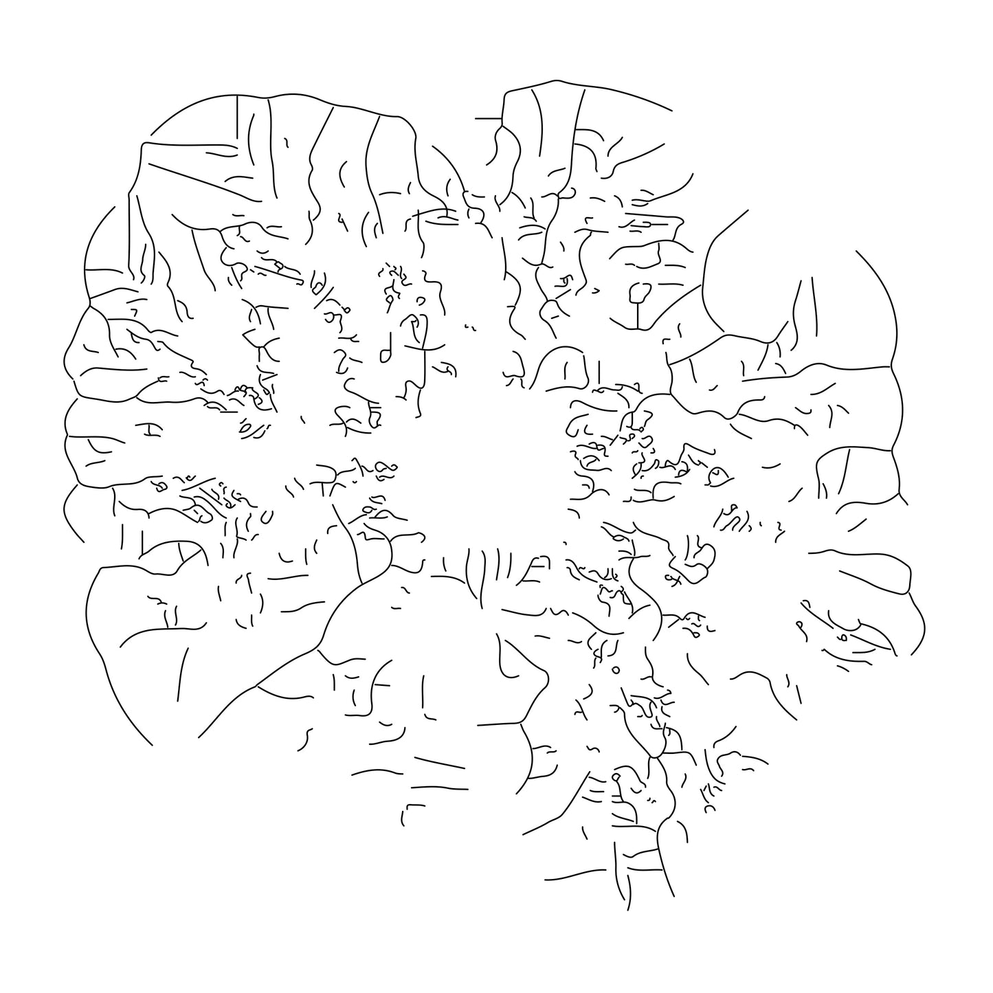 Reticula Limina Series
