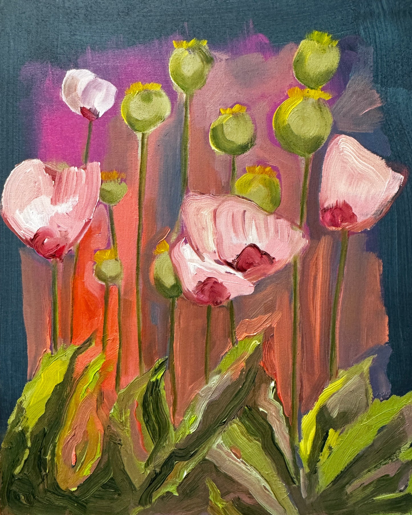 Poppies