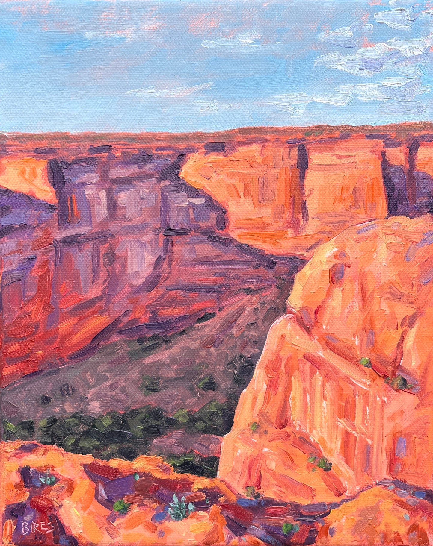 Canyon De Chelly