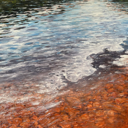 Swim to Shore