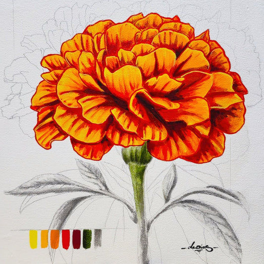 Cempasúchil Sketch #2 - Print