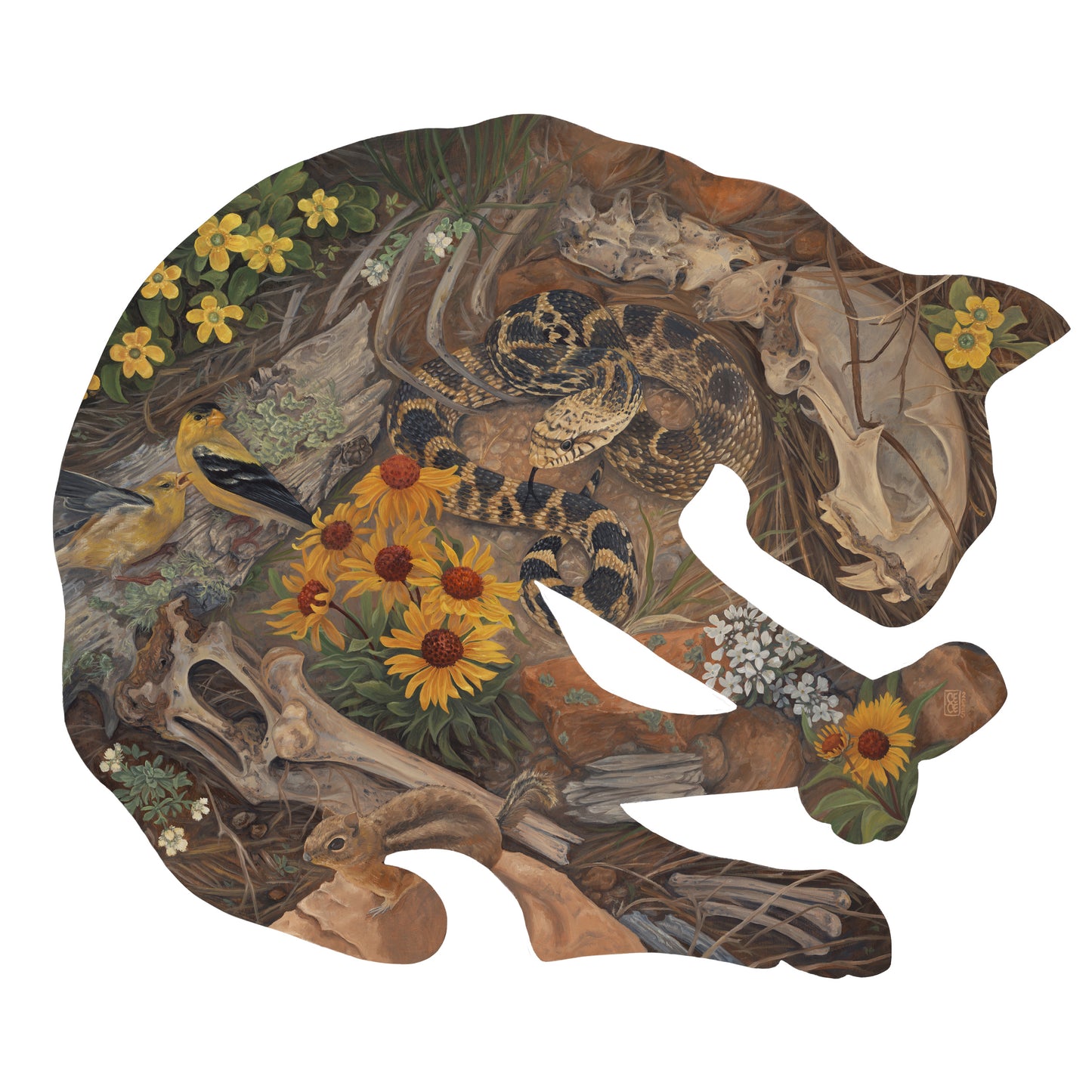 Echoes, Bobcat - Print