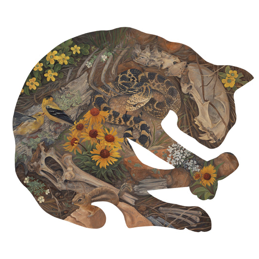 Echoes - Bobcat