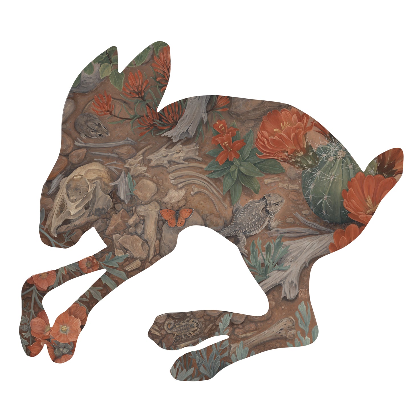 Echoes, Jack Rabbit - Print