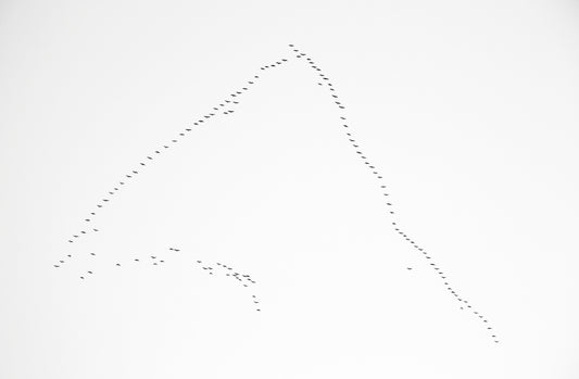 Flying I