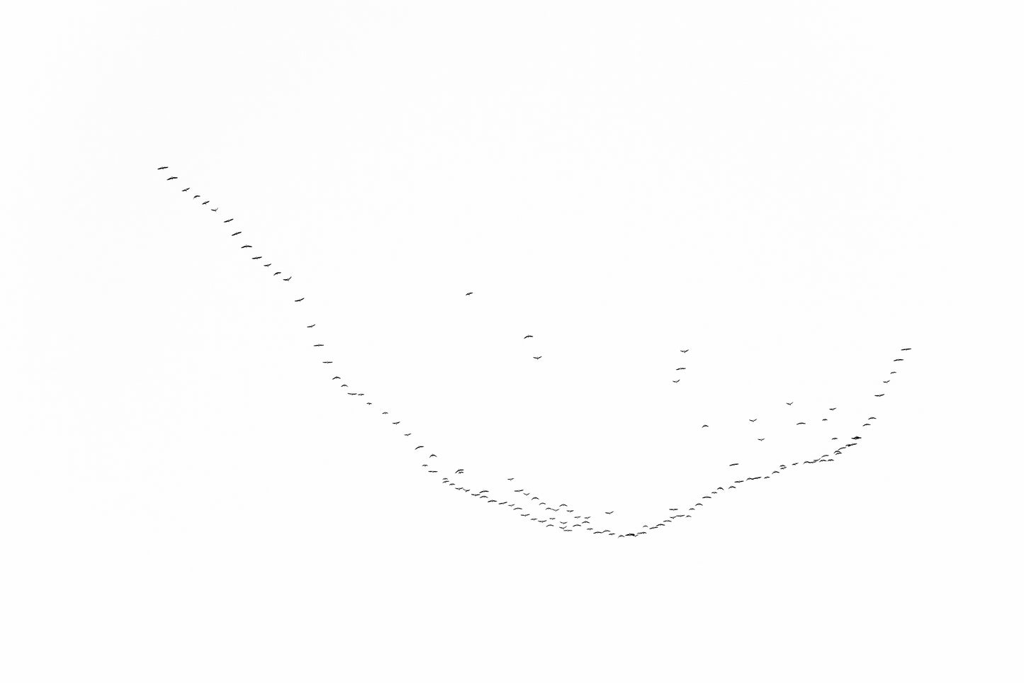 Flying II