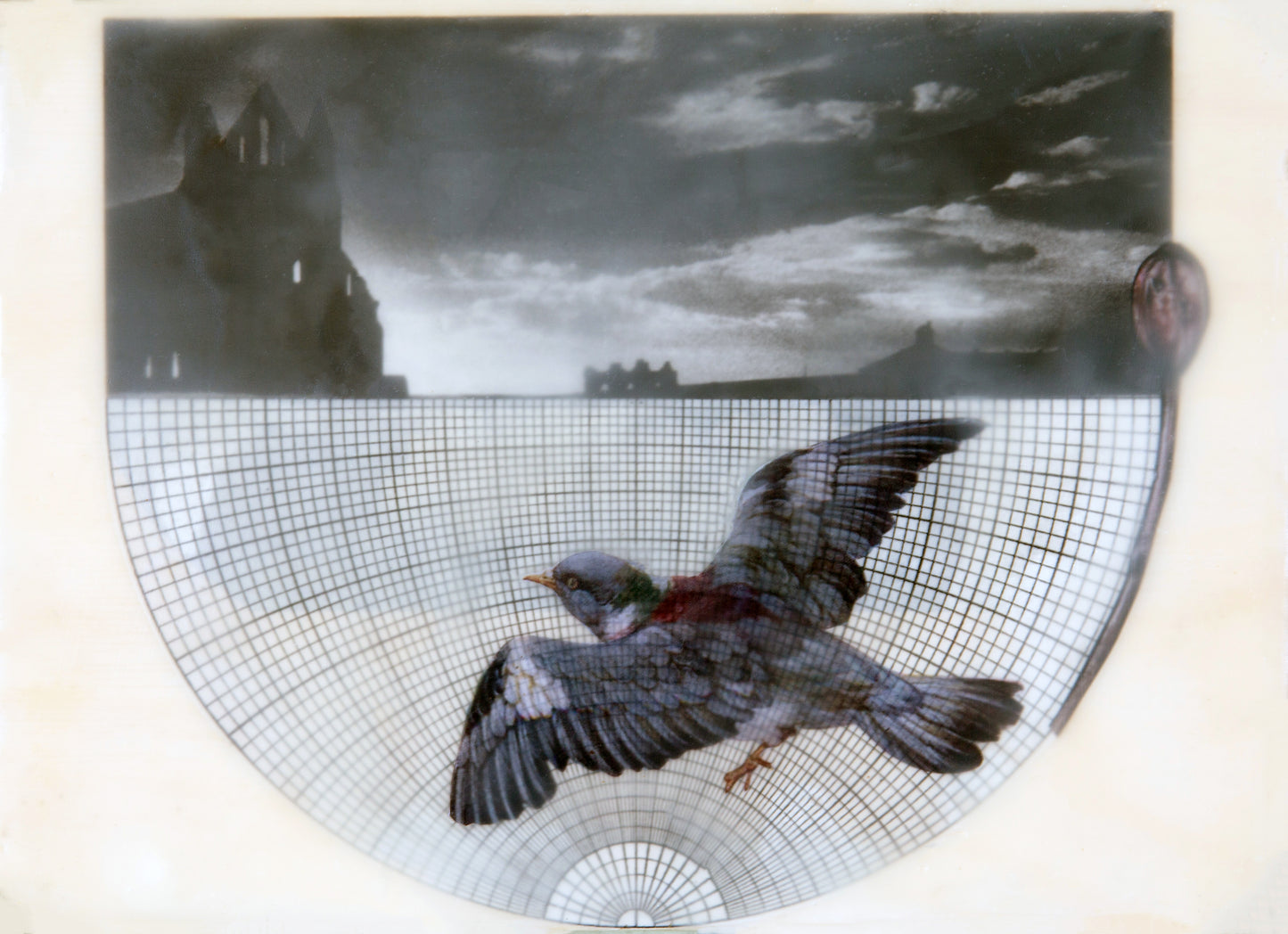 Into the Shadows - Print