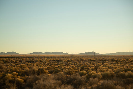 San Luis Valley 3