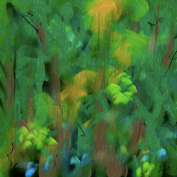 Rainy Day Forest