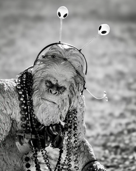 Worry Never Set You Free