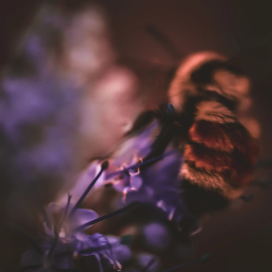 The Hunger III