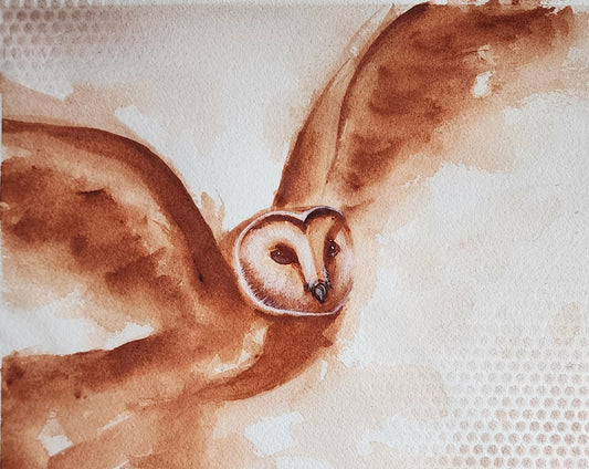 Soar