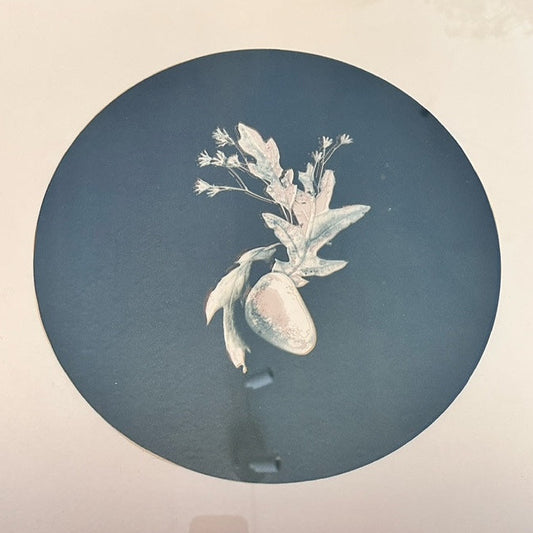 Amalgamated Landscape #8