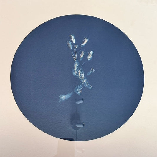 Amalgamated Landscape #4