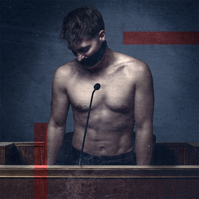 Silent Witness - Print